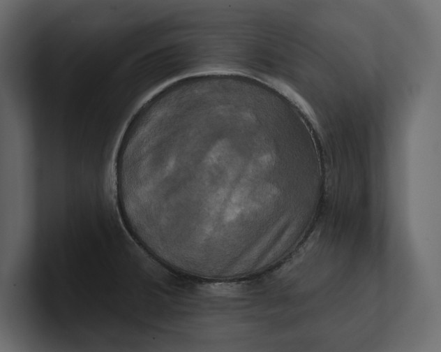 X0000100921380200807151212