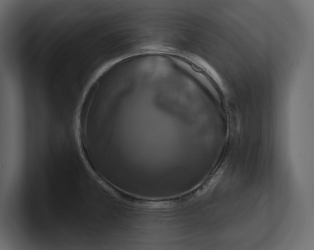 X0000100921381200807151212