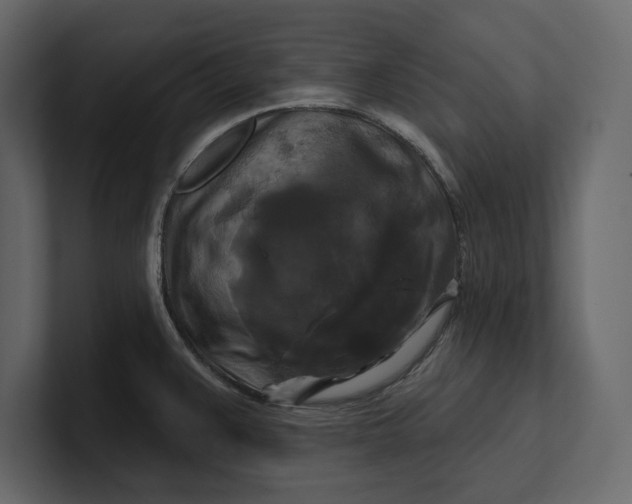 X0000100921383200807151212