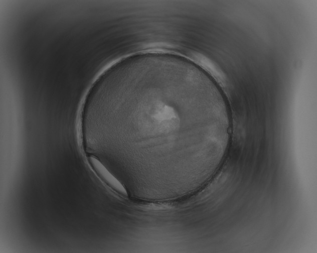 X0000100921384200807151212