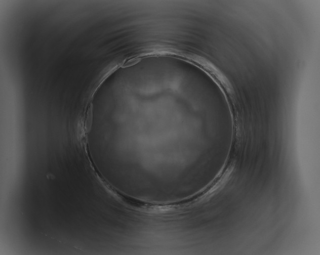 X0000100921385200807151212