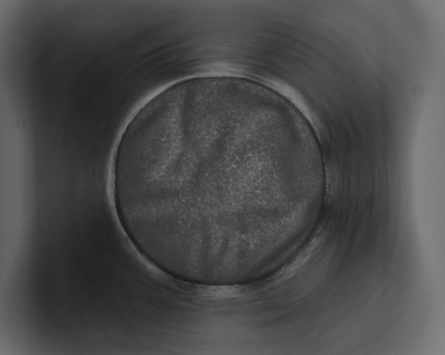 X0000100921387200807151212