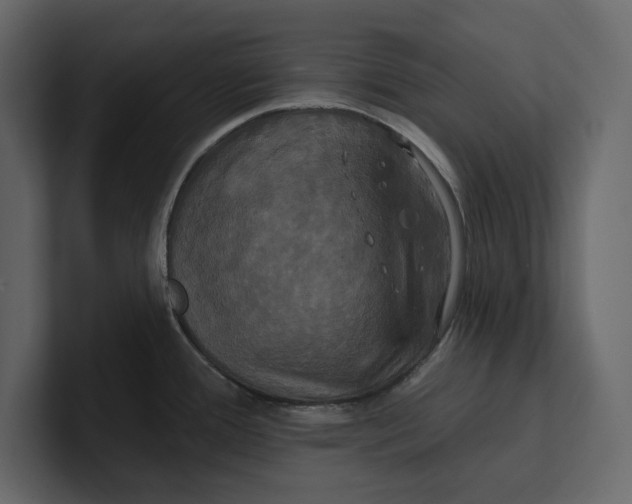 X0000100921388200807151212