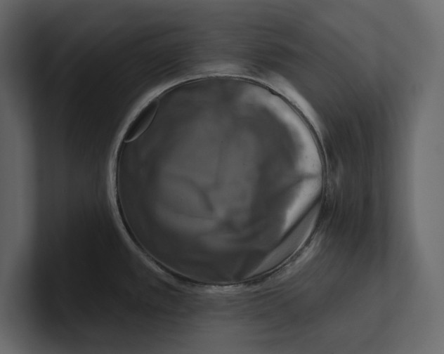 X0000100921389200807151212