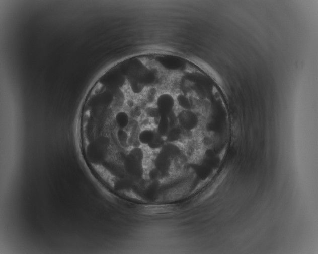 X0000100921391200807151212