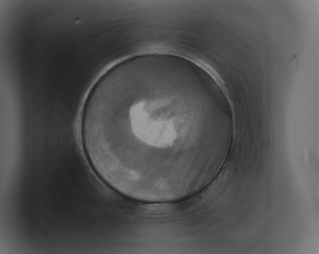 X0000100921392200807151212