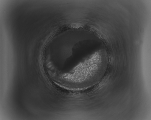 X0000100921393200807151212