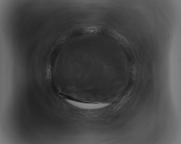 X0000100921394200807151212