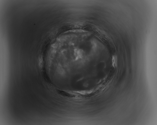 X0000100921395200807151212