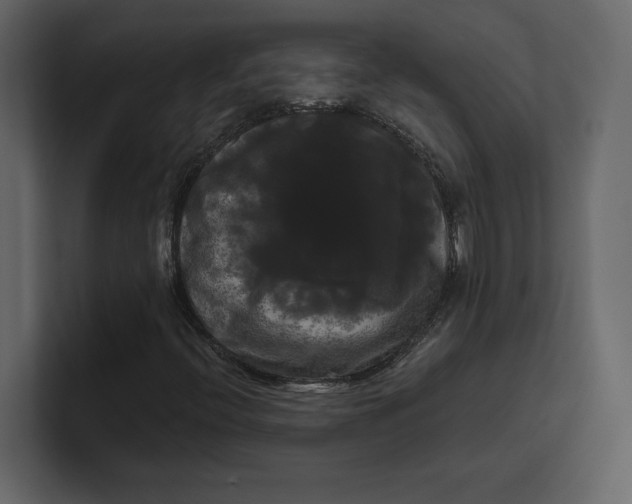 X0000100921396200807151212