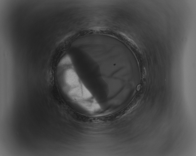 X0000100921398200807151212