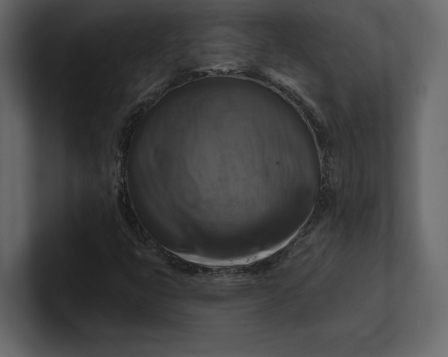 X0000100921399200807151212