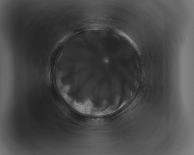 X0000100921403200807151212