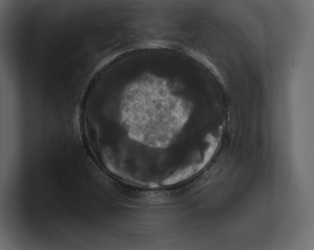 X0000100921404200807151212