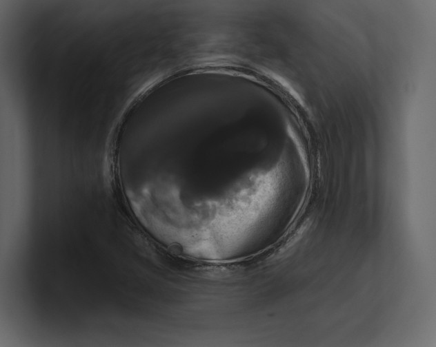 X0000100921405200807151212