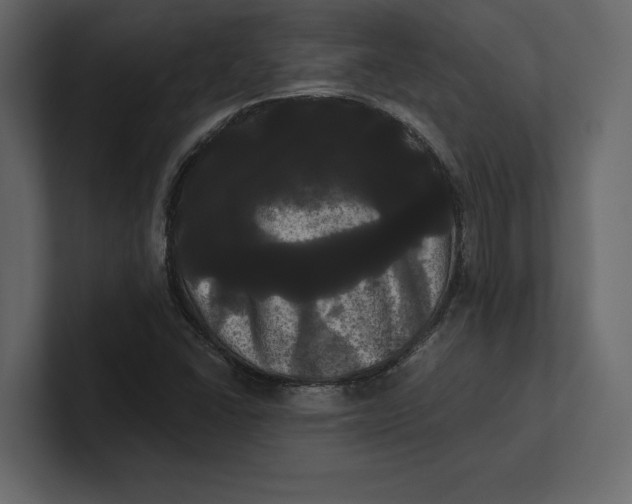 X0000100921406200807151212