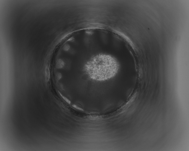 X0000100921407200807151212