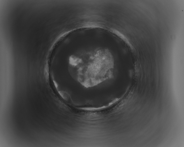 X0000100921408200807151212