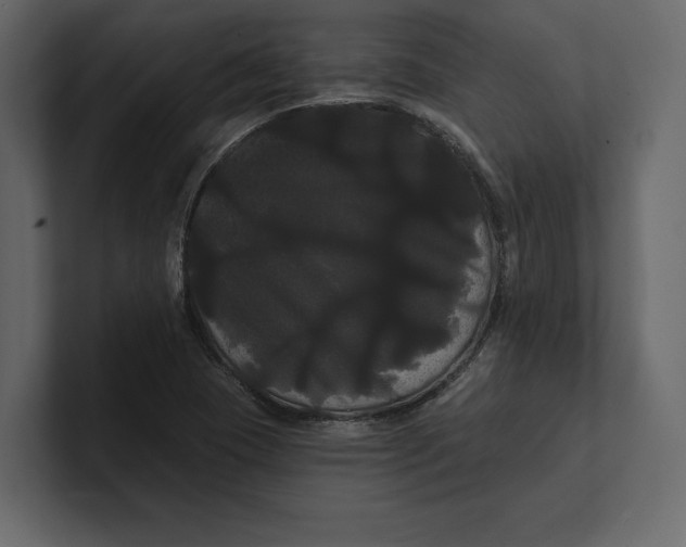 X0000100921409200807151212