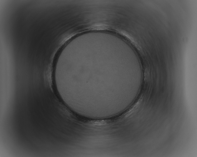 X0000100921410200807151212