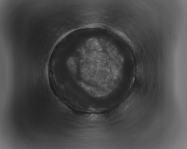 X0000100921412200807151212