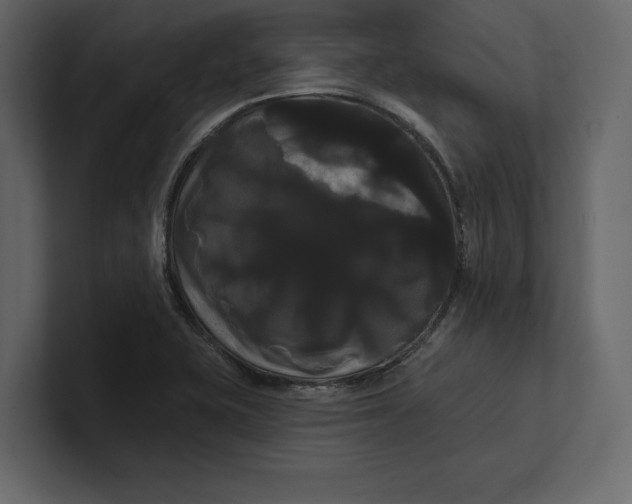 X0000100921415200807151212