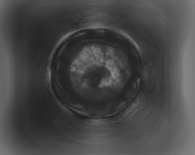 X0000100921416200807151212