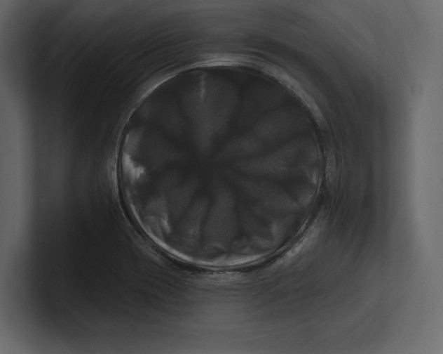 X0000100921417200807151212