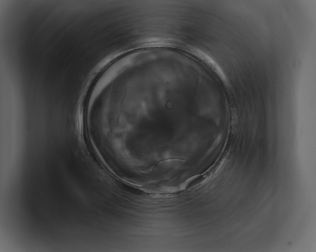 X0000100921419200807151212