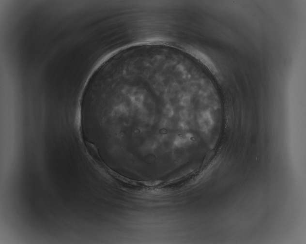 X0000100921420200807151212