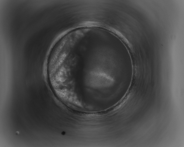 X0000100921421200807151212