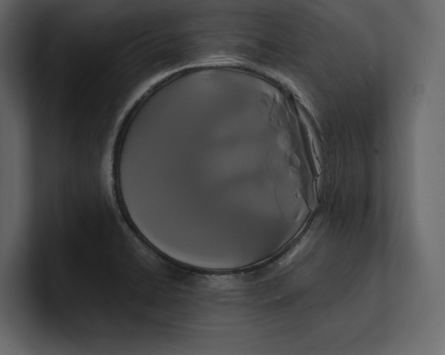 X0000100921422200807151212