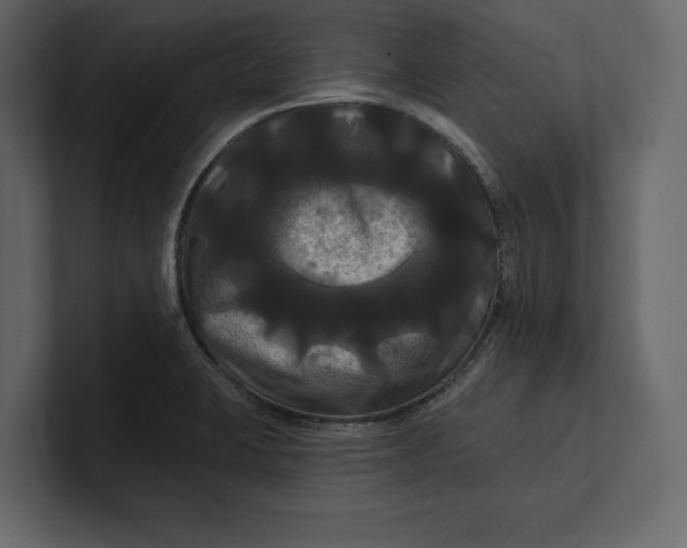 X0000100921423200807151212