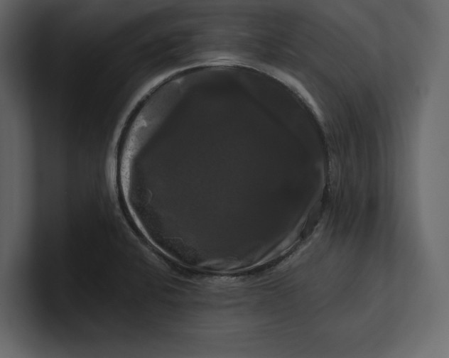 X0000100921424200807151212