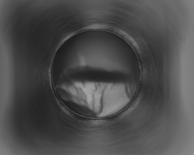 X0000100921425200807151212