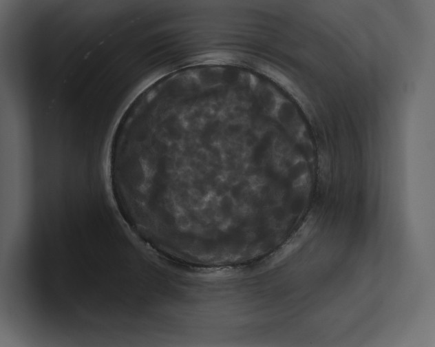 X0000100921426200807151212