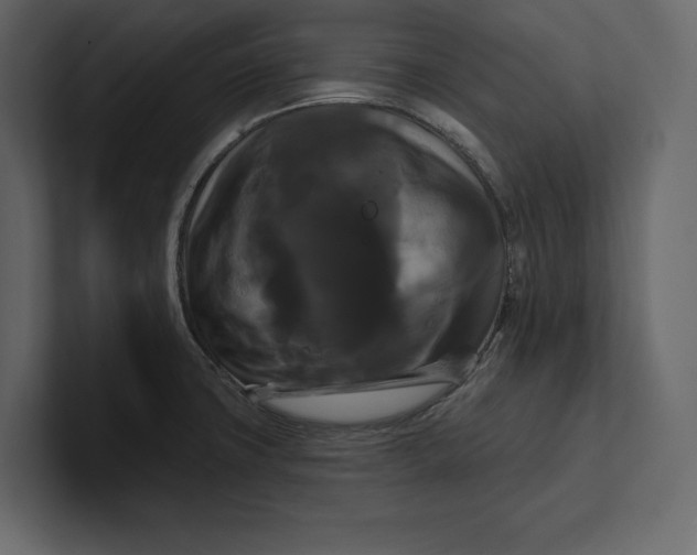 X0000100921427200807151212