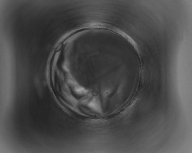 X0000100921429200807151212