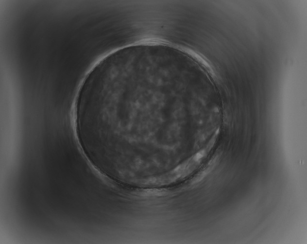 X0000100921430200807151212