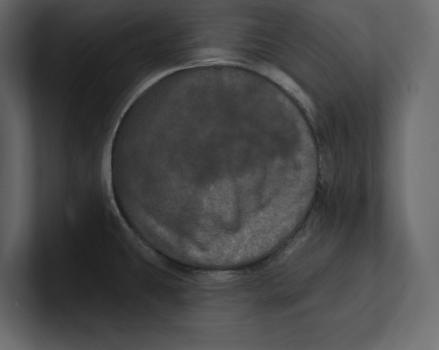 X0000100921431200807151212