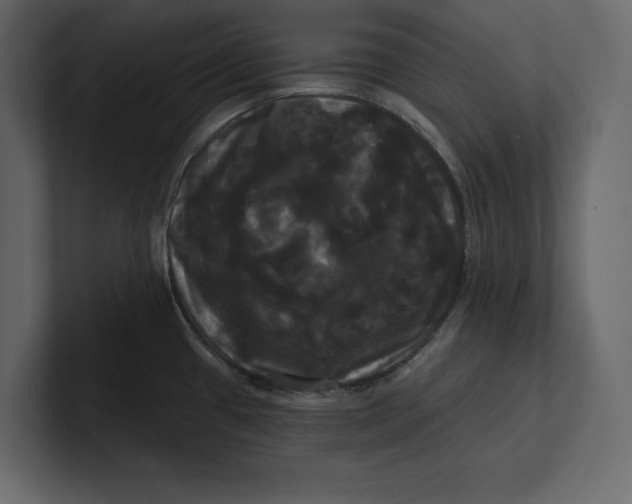 X0000100921433200807151212