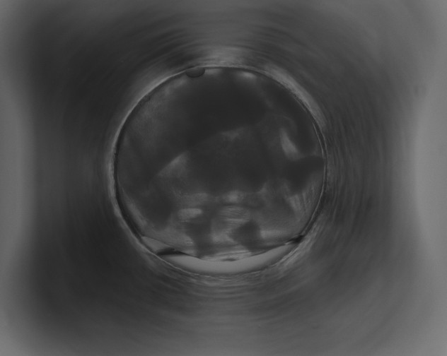 X0000100921434200807151212