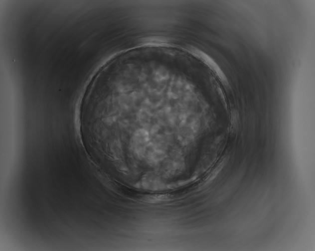 X0000100921435200807151212