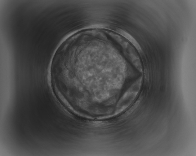 X0000100921436200807151212