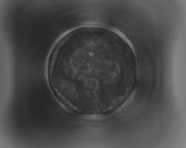 X0000100921437200807151212