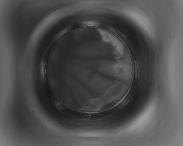 X0000100921438200807151212