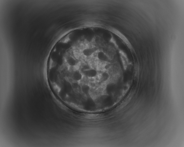 X0000100921439200807151212