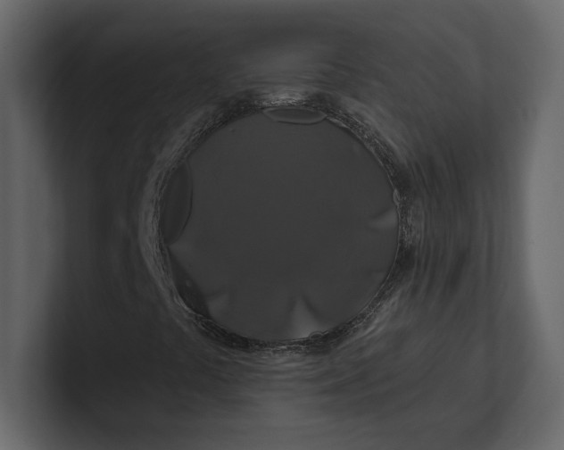 X0000100921441200807151212