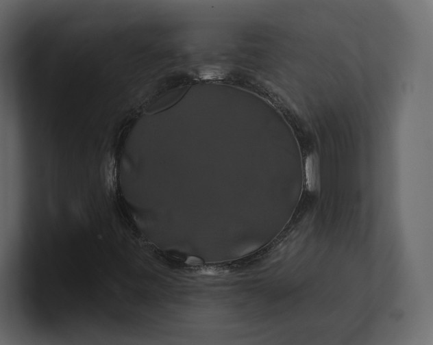 X0000100921443200807151212