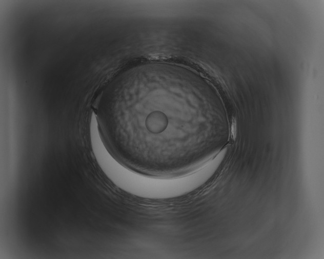 X0000100921444200807151212